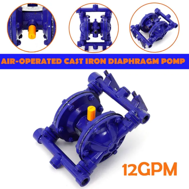 12GPM Air-Operated Double Diaphragm Pump Pneumatic Pump 1/2" Inlet Outlet Port
