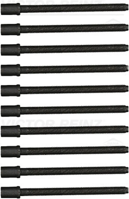 Victor Reinz Set viti testata cilindro 14-32195-01 M12 per VW PASSAT B6 3C2 3C5