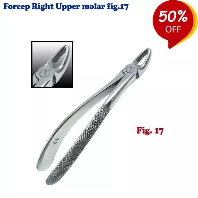 Dental Chirurgie Extraktionszange Right Upper Molar fig.17 Tooth Surgery Forceps