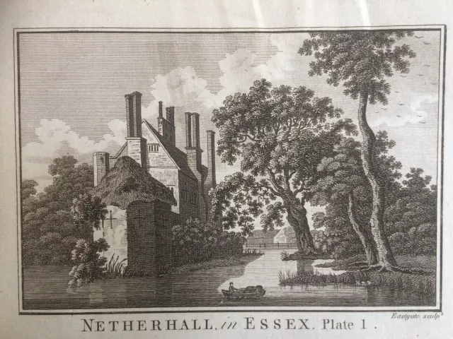 1784 Antique Print: Nether Hall,  Roydon,  Essex