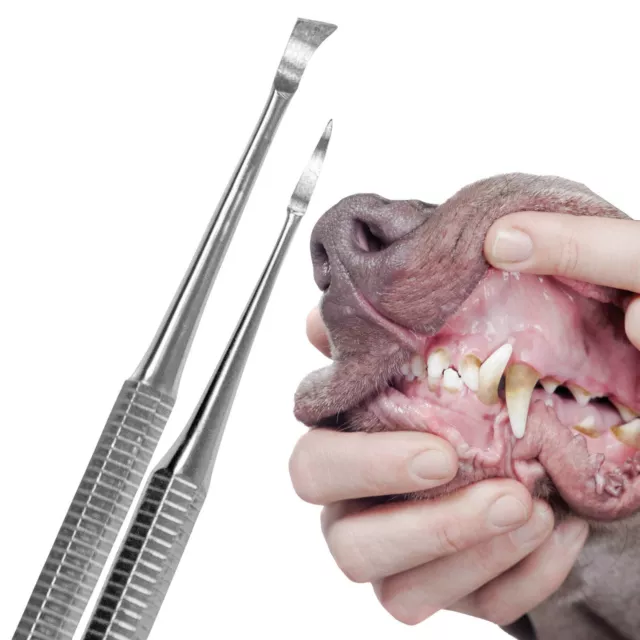 Zahnsteinentferner Set 2 - teilig Hundepflege Zahnpflege Zahnstein