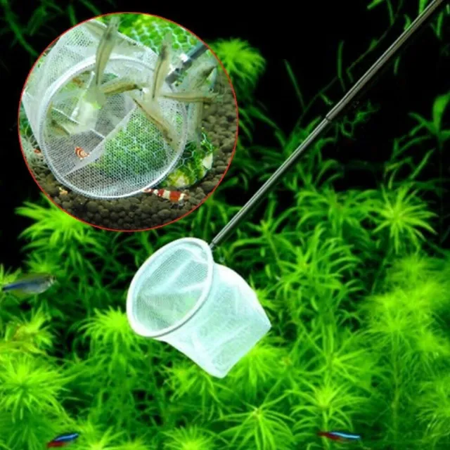 Square Round Shape 3D Aquarium Small Betta Fish Shrimp Net Dekor Catching
