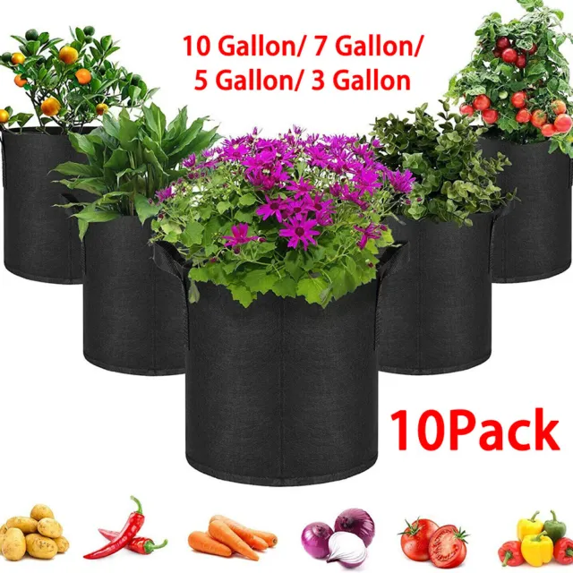 10 x Hydroponic Root Fabric Smart Pot Grow Bags Plant Container Pouch Bag Pots