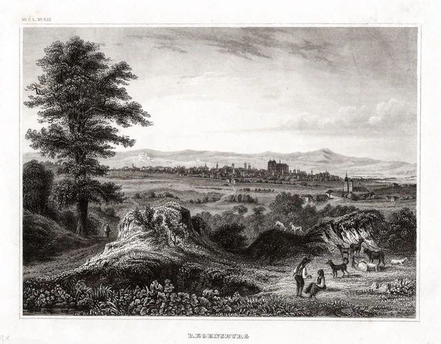 Regensburg Baviera Vista View Incisione Acciaio Engraving 1850