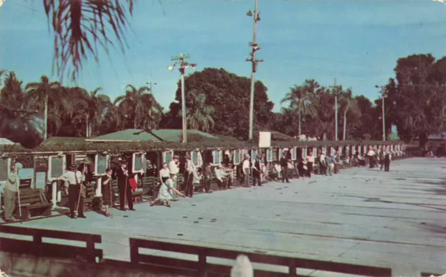 People Playing Shuffleboard in Florida, Vintage Postcard