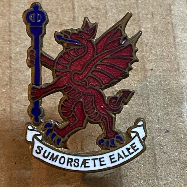 Sumorsete Ealte Somerset County Council Lapel Pin Badge Uk