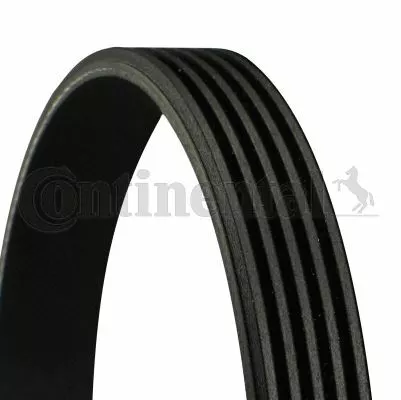 Continental Courroie D'accessoire Pour Citroën Zx 1.4 I,Bmw 3 330 D,5 530 D