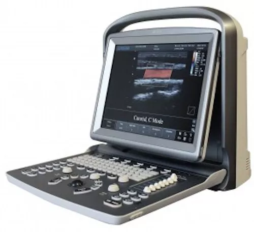 Best Selling Color Doppler Portable Ultrasound Chison ECO5vet with One probe 2