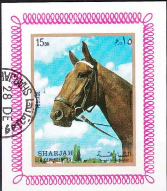 Sharjah,Pferde 4
