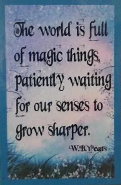 The World If Full Of Magic Things Waiting For Senses To Grow -MAGNET