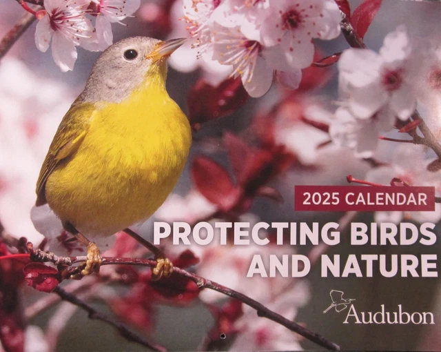 20242025 SIXTEEN MONTH Full Color National Audubon Society Wall