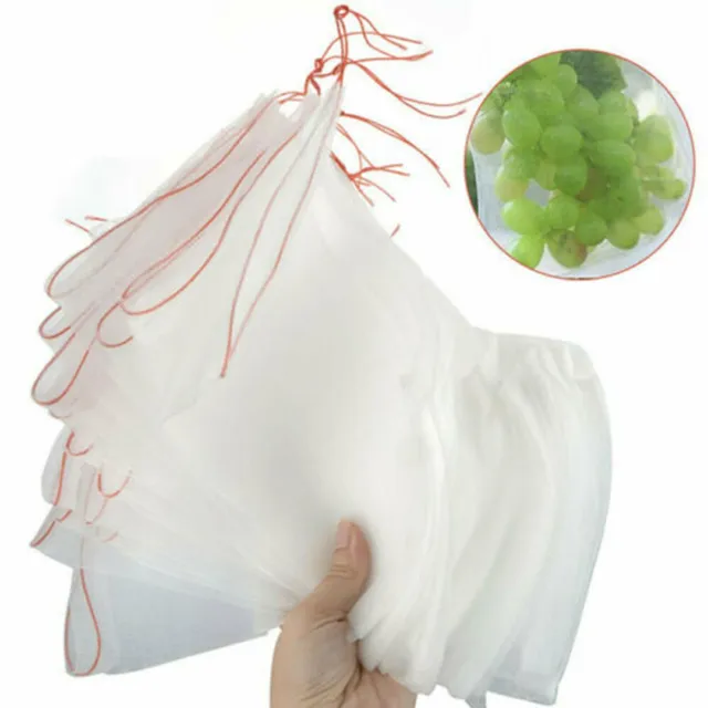 100x/Set Fruit Fly Protection Bags Exclusion Net Storage Mesh Stop Pest Bug Bags 2