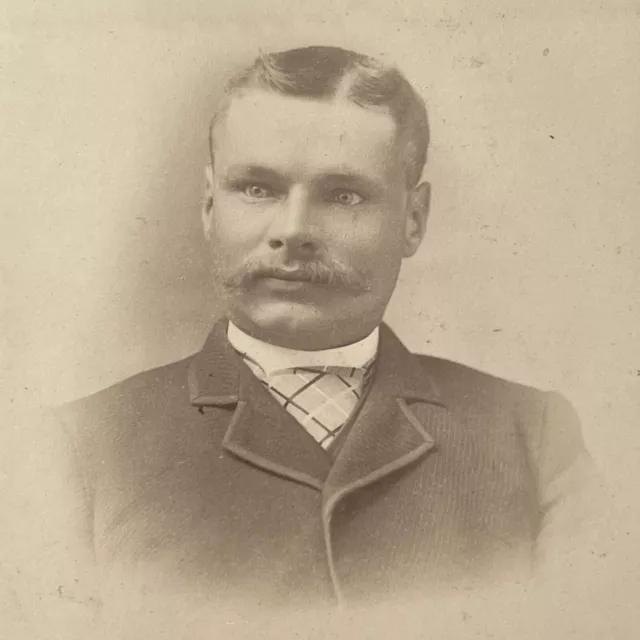 Antique Cabinet Card Photograph Handsome Charming Man Mustache Lapeer MI
