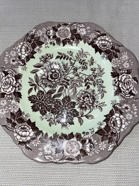 Spode Archive Collection JASMINE  9 1/2" Plate England Mint Green & Brown