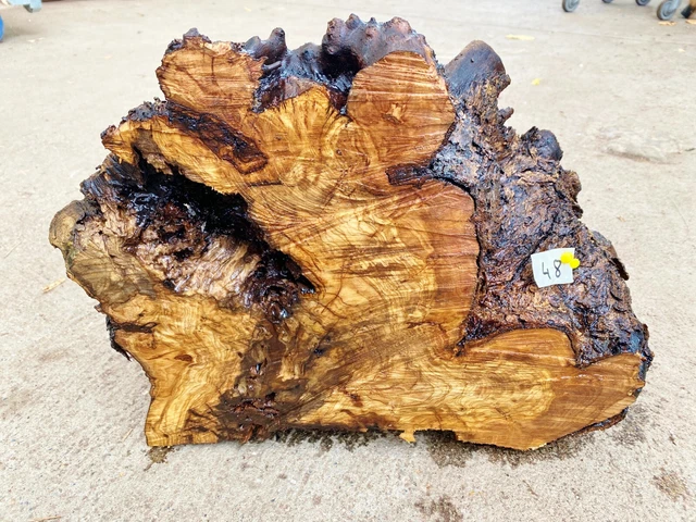Olivenholz, Olive, Holz zum Basteln, Schnitzen, Drechseln, 8,4 kg Deko-Objekt