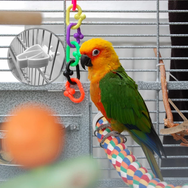 12 un. clips de comida para aves clip cuttlebone alimentador para mascotas plástico alimentador para aves tenedor de frutas
