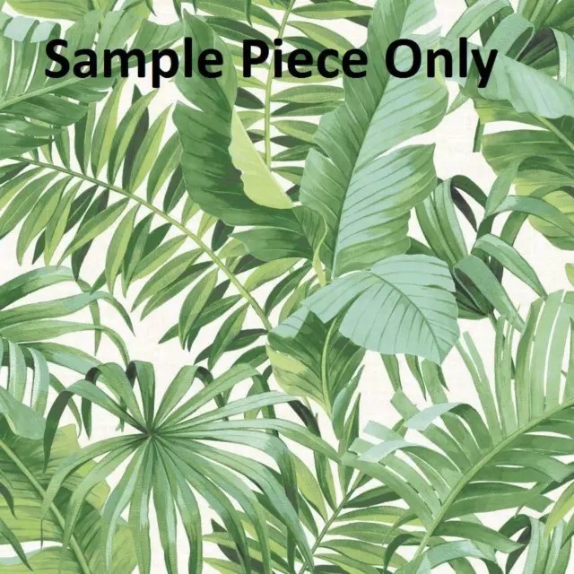 Tropical Leaf Wallpaper Palm Tree White Green Prints Paste The Wall SAMPLE
