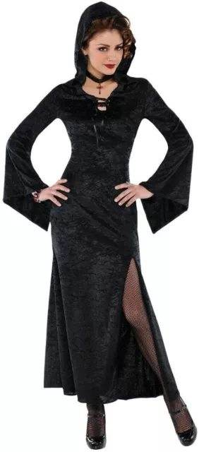 Amscan Enchantress Sorceress Witch Dress Adult Womens Halloween Costume 841193