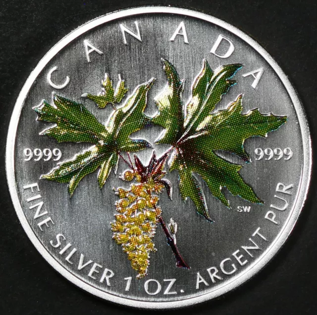 2005 Canada Mapleleaf Colorized Big Leaf Maple with CoA Fine Silver #17561 3