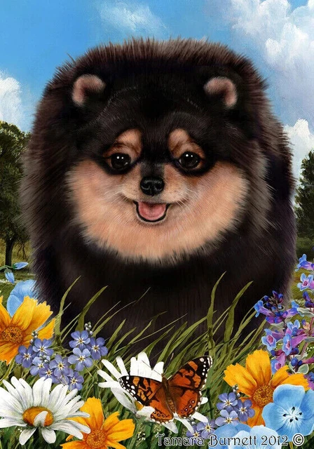 Summer Garden Flag - Black and Tan Pomeranian 189561