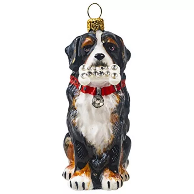 Bernese Mountain Dog with Crystal Dog Bone Polish Glass Christmas Ornament