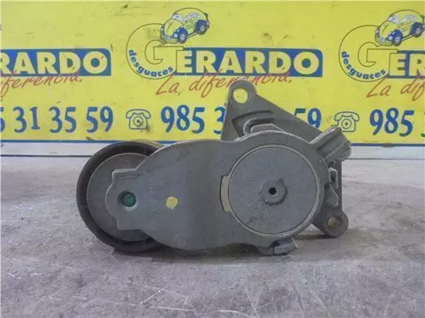 GALET TENDEUR COURROIE ACCESSOIRE Citroen C3 (2002->) 1.4 HDi 8HZ (DV4TD)