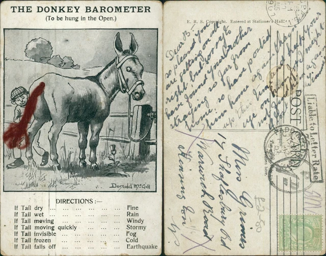 DONALD MCGILL DONKEY Barometer With Tail 1907 Cancel ERS £5.10