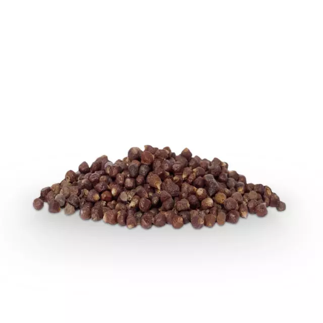 Grains of Paradise Premium Quality 100g 3kg 2