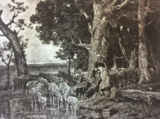 Charles Emile JACQUE 1813-1894 Hélio Georges Petit Barbizon Pool Herb