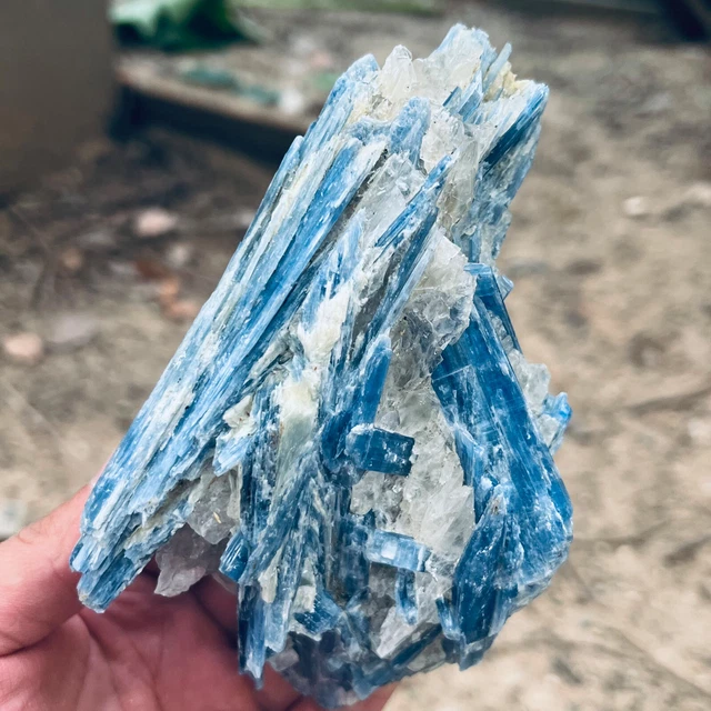 620G Rare!! Natural beautiful Blue KYANITE with Quartz Crystal Specimen Rough326