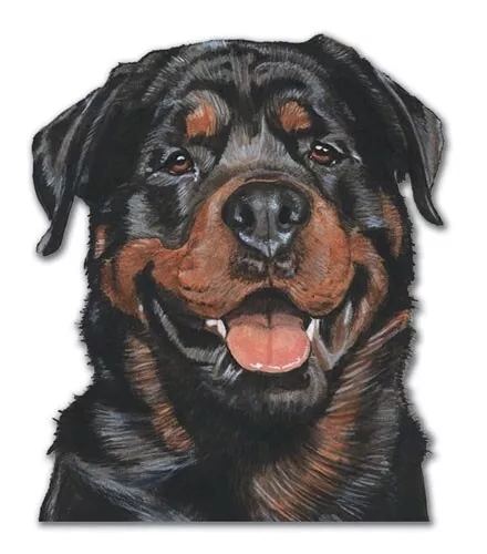 Rottweiler Rottie Magnet Wooden