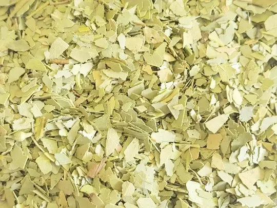 Hoja de eucalipto - hierba seca orgánica - eucalipto globulus - ELIGE 0,5 - 4 oz