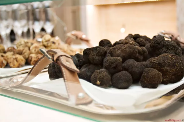 Precious Italian fresh black truffles. Black truffle 230g. 8,1 oz. Mushrooms.