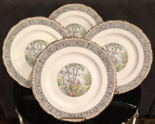 VTG Royal Albert Silver Birch Lunch Plate 9 & 3/8” Set/4 Bone China England