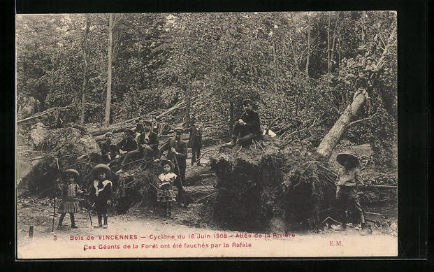 CPA Le Bois de Vincennes, after the 1908 Cyclone - Allee de la Riviere, Unwetter