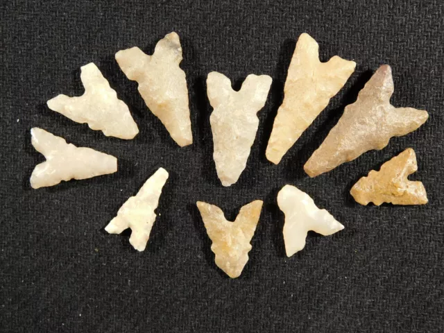 Big Lot of TEN! Ancient BOTTOM Notch Tidikelt Arrowheads 5.88