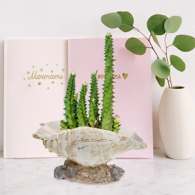 1pc Conch Blumentopf Conch Sukkulenten Topf Conch Shell Figurine 3