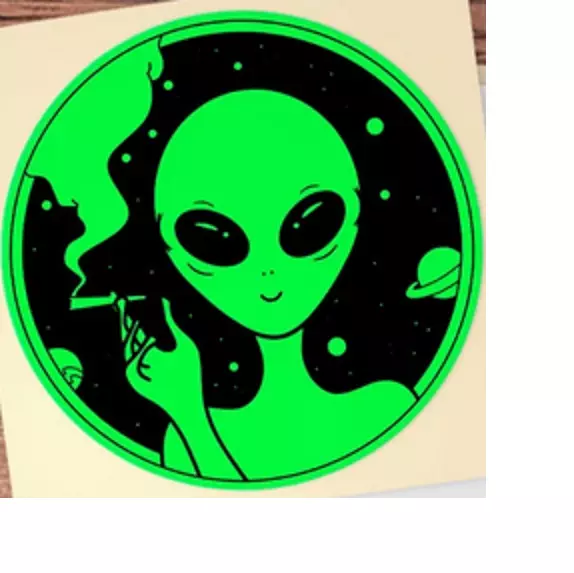 ALIEN MARIJUANA SMOKE POT 420 JOINT UFO Charm  925 Sterling Silver 20" Necklace
