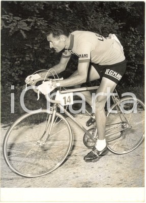 Fotografia Aldo MOSER Tre Valli Varesine Partenza 1955 Foto Bordin CICLISMO 