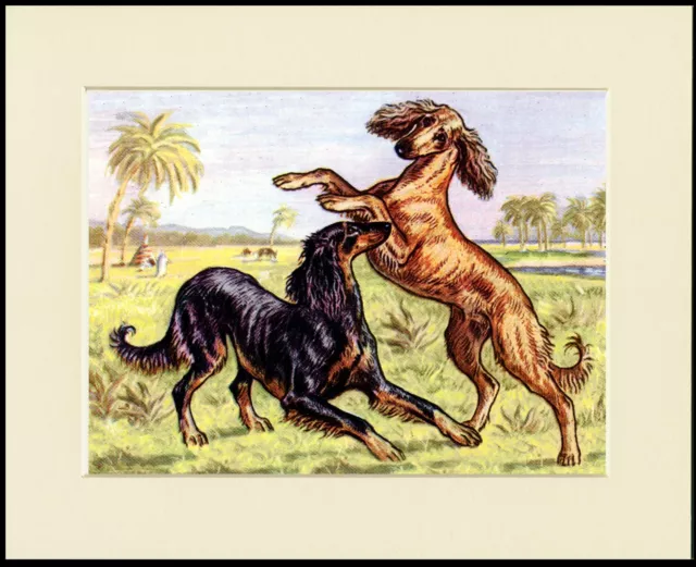 Saluki Two Dogs At Play Charming  Dog Art Print Mounted Ready To Frame