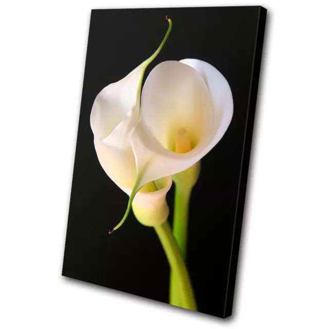 Floral Calla Lily Flowers SINGLE CANVAS WALL ART Picture Print VA