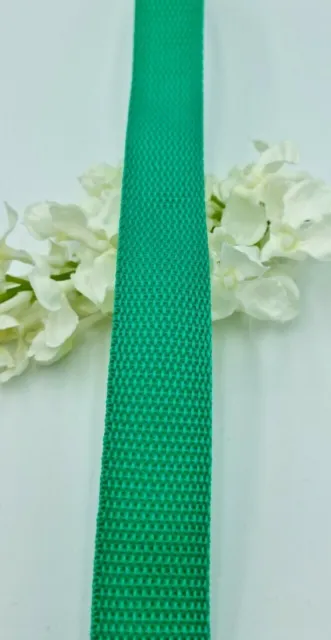 Cinta de correa de malla de polipropileno verde de 25 mm excelente calidad