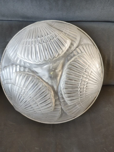 Lot de 8 ramequins coquilles Saint Jacques en verre Pyrex - Arts de la table