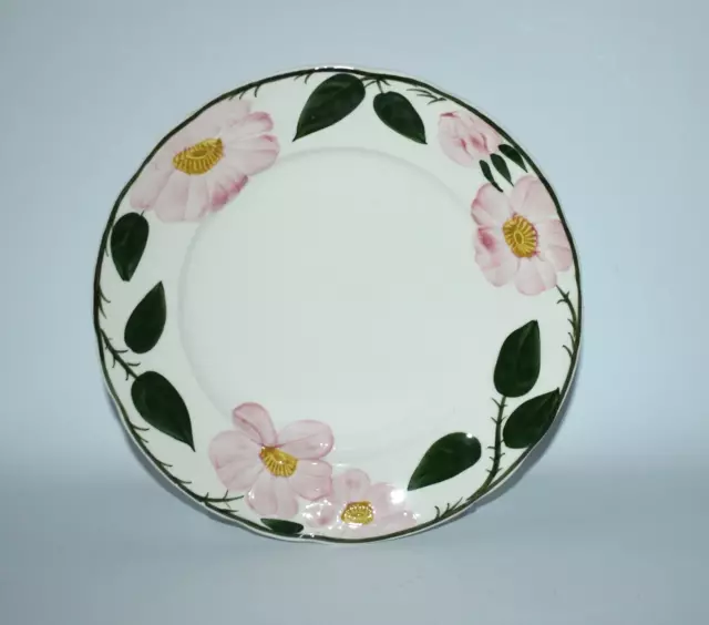 Villeroy & Boch Wild - Rose (Wildrose) Faience Kuchenteller Ø ca. 21,5 cm