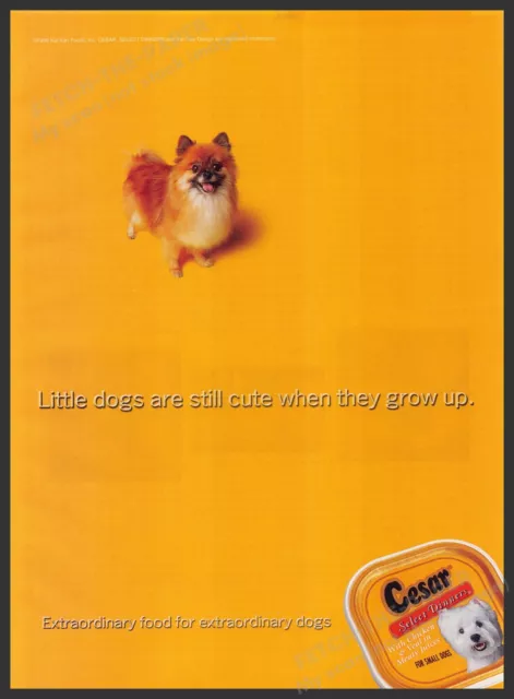 Cesar Dog Food Pomeranian Dog 2000s Print Advertisement Ad 2000