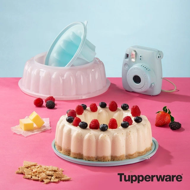 Grand Chausson De Fête Tupperware - Neuf Dans Son Emballage D'origine - Idéal Pour Apéritifs Et Réceptions