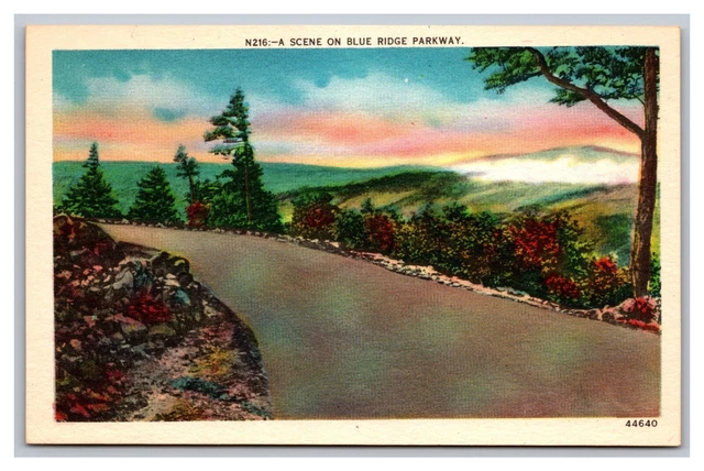 Luray VA Skyline Drive Shenandoah National Park Blue Ridge Parkway Postcard