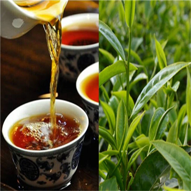192g 24PCS Yunnan Menghai Pu-erh Small Tea Column Mini Linglong Small Cakes
