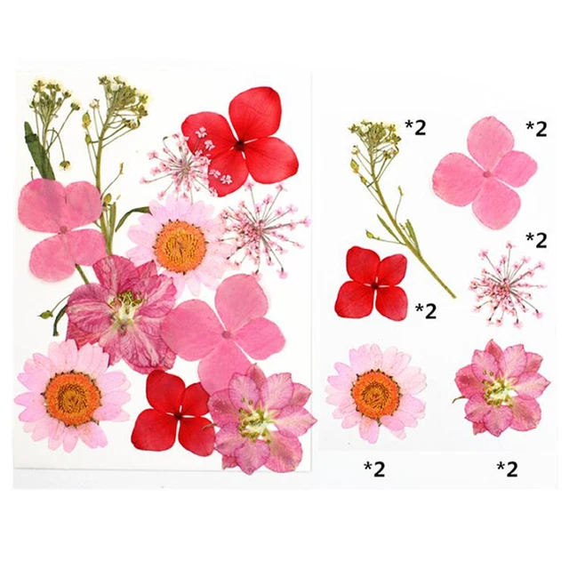 Real Dried Flower Natural Dry Plants Candle Epoxy Necklace Making Craft DIY c