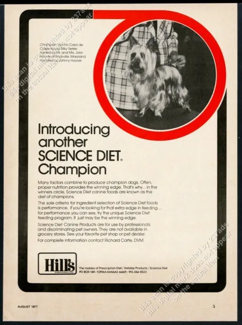 1977 champion Silky Terrier photo Science Diet dog food vintage print ad